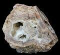 Crystal Filled Dugway Geode (Polished Half) #38878-2